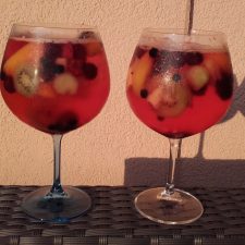 Summer feeling – Gin Tonic