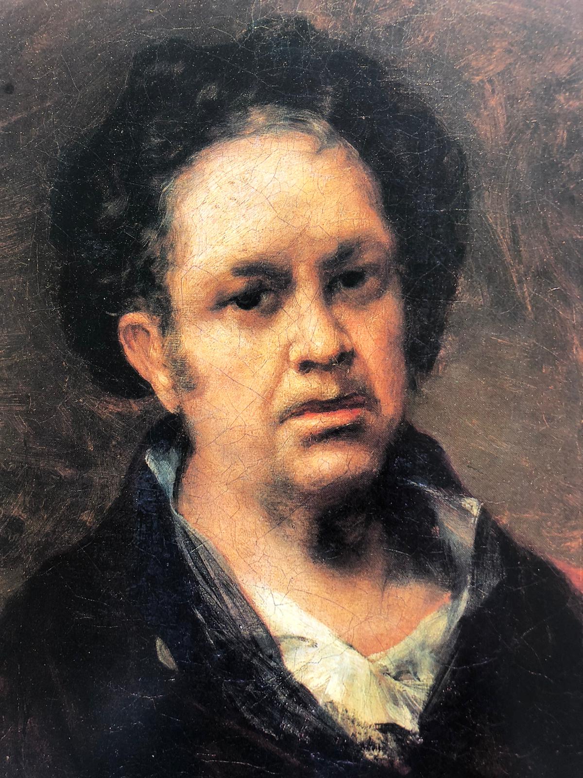 Goya Genialität und grausame Realität Taschenspiegel