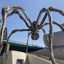 Verlorene und (zu) spät erkannte Talente