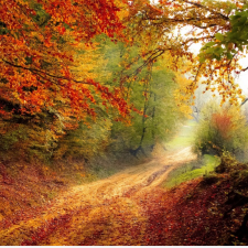 Lieblingsplatz im Herbst – Der Montseny
