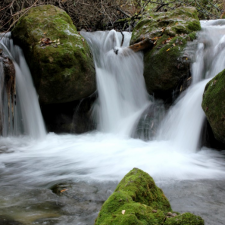 Wasserstandsmeldung nach dem Sommer