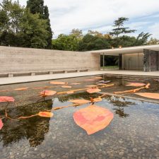 Herbstliche Transparenz im Pavillon Mies van der Rohe