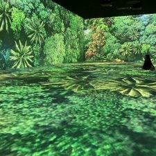 Ausstellungen: Ein Wow-Erlebnis: Somos Naturaleza