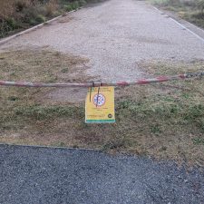 Afrikanische Schweinepest in Katalonien