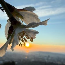 Editorial 175: GPS gestört? Augen auf!