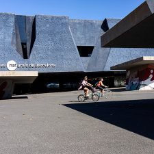 LAMEBA 2.0: Lieber Sohn!