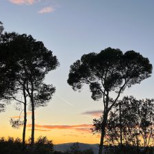 Bewusstseinserweiterung durchs Laufen