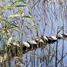 Unsere Umwelt nah bei